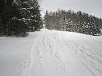 Bild 3 (283 Bildaufrufe)