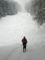 Bild 5 (251 Bildaufrufe)