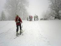 Bild 8 (259 Bildaufrufe)
