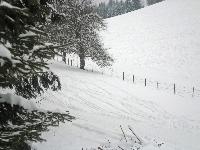 Bild 10 (241 Bildaufrufe)