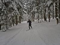 Bild 10 (288 Bildaufrufe)