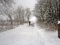 Bild 11 (304 Bildaufrufe)