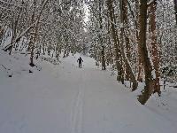 Bild 3 (275 Bildaufrufe)