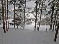 Bild 4 (256 Bildaufrufe)