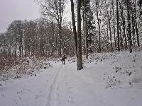 Bild 5 (290 Bildaufrufe)