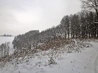 Bild 6 (250 Bildaufrufe)