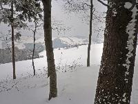 Bild 8 (275 Bildaufrufe)