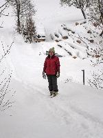 Bild 10 (331 Bildaufrufe)