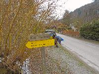 Bild 2 (363 Bildaufrufe)