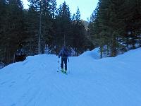 Bild 2 (270 Bildaufrufe)