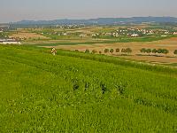 Bild 2 (264 Bildaufrufe)