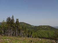 Bild 2 (237 Bildaufrufe)
