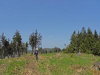 Bild 4 (271 Bildaufrufe)