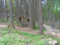 Bild 9 (178 Bildaufrufe)