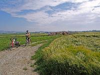 Bild 2 (202 Bildaufrufe)