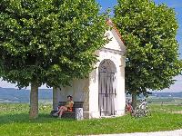 Bild 3 (225 Bildaufrufe)
