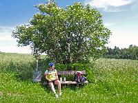 Bild 11 (145 Bildaufrufe)