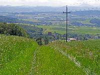Bild 13 (229 Bildaufrufe)