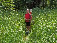 Bild 17 (187 Bildaufrufe)