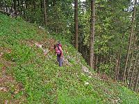 Bild 5 (204 Bildaufrufe)