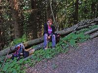 Bild 10 (228 Bildaufrufe)