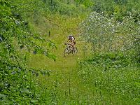 Bild 4 (249 Bildaufrufe)