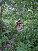 Bild 5 (221 Bildaufrufe)
