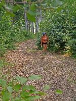 Bild 6 (238 Bildaufrufe)
