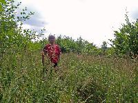 Bild 7 (221 Bildaufrufe)