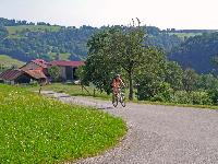 Bild 2 (206 Bildaufrufe)