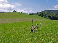 Bild 5 (218 Bildaufrufe)
