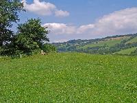 Reitberg (212 Bildaufrufe)