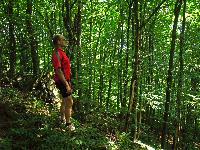 Bild 11 (205 Bildaufrufe)