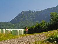 Spitzkogel (256 Bildaufrufe)