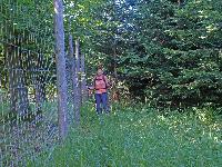 Bild 4 (244 Bildaufrufe)