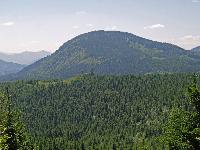 Bild 13 (217 Bildaufrufe)
