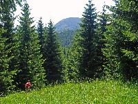 Bild 14 (225 Bildaufrufe)