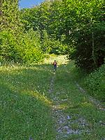 Bild 19 (184 Bildaufrufe)