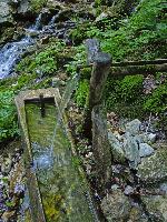 Bild 21 (233 Bildaufrufe)