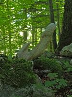 Bild 4 (231 Bildaufrufe)