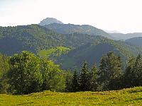 Schweinberg, Gromann (264 Bildaufrufe)