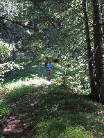 Bild 17 (257 Bildaufrufe)