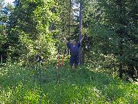 Bild 18 (259 Bildaufrufe)