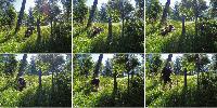 Bild 19 (224 Bildaufrufe)
