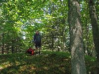 Bild 20 (225 Bildaufrufe)