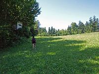 Bild 3 (279 Bildaufrufe)