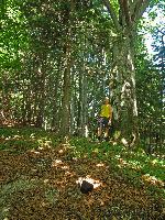 Bild 9 (295 Bildaufrufe)