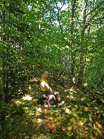Bild 12 (268 Bildaufrufe)