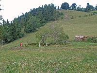 Frankenfelsberg (281 Bildaufrufe)