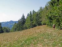 Gsollberg (231 Bildaufrufe)